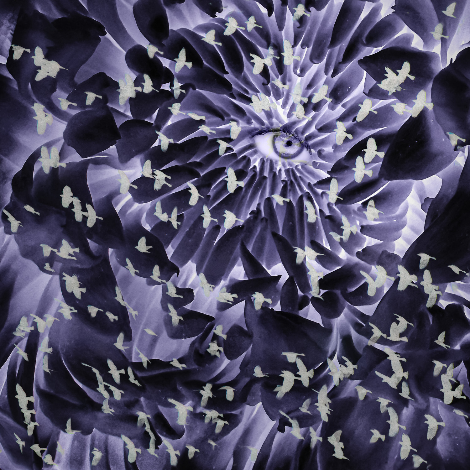 © Shelley Vandegrift