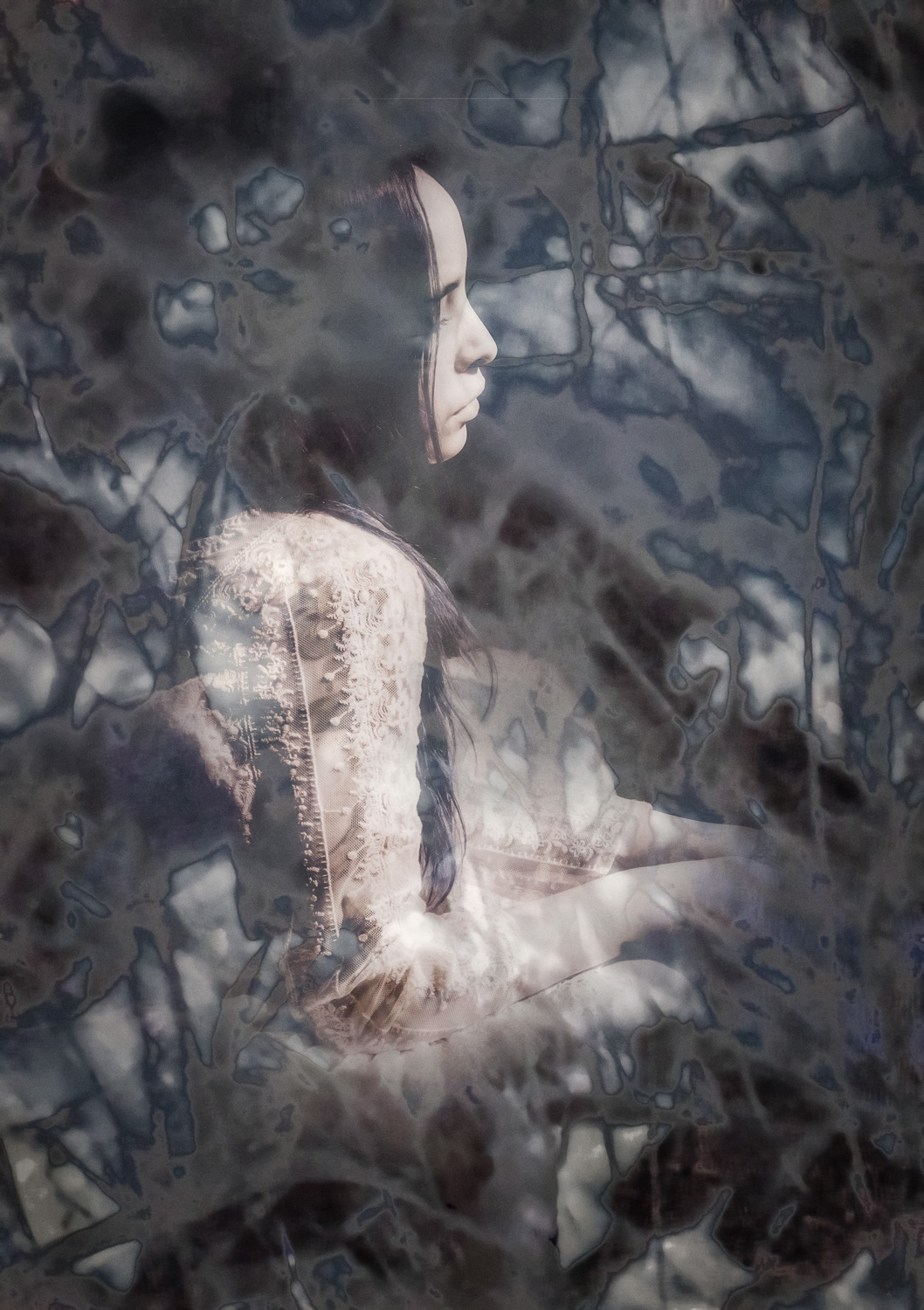 © Shelley Vandegrift