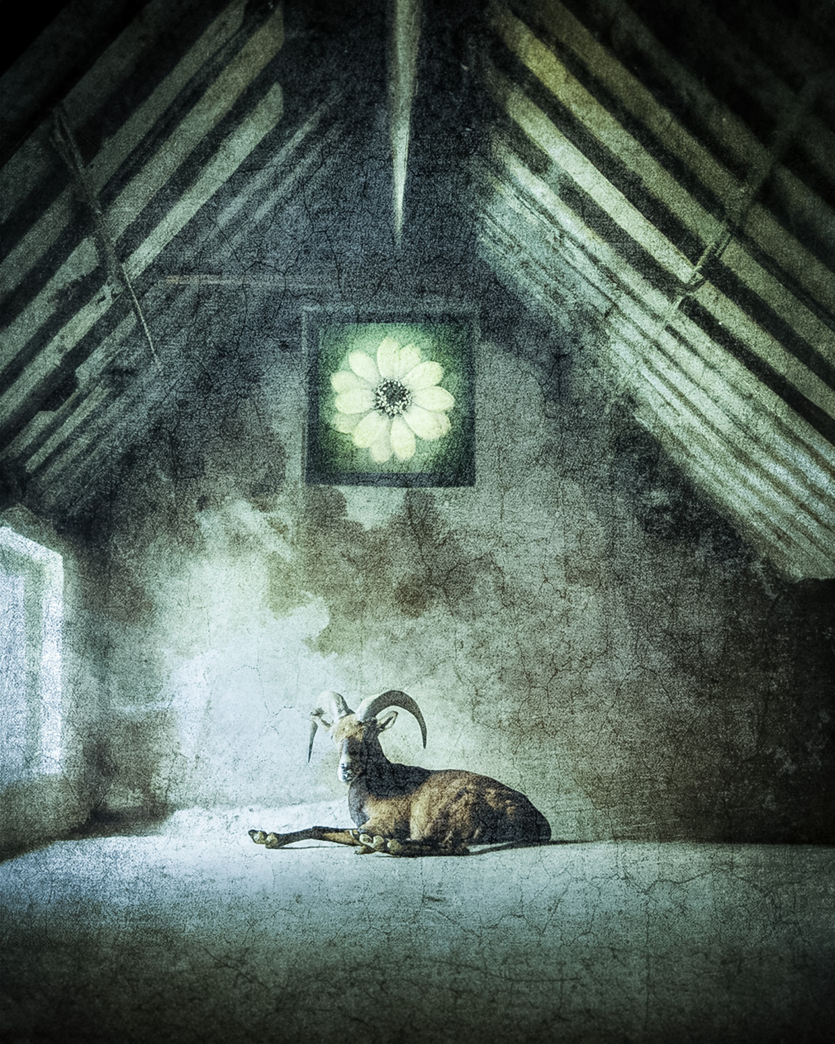 © Shelley Vandegrift