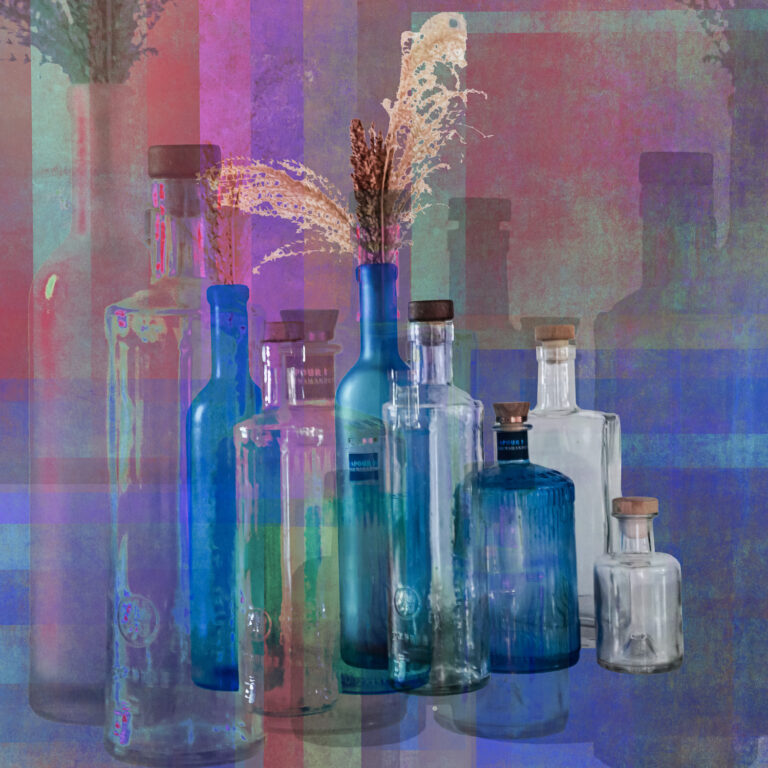 © Shelley Vandegrift