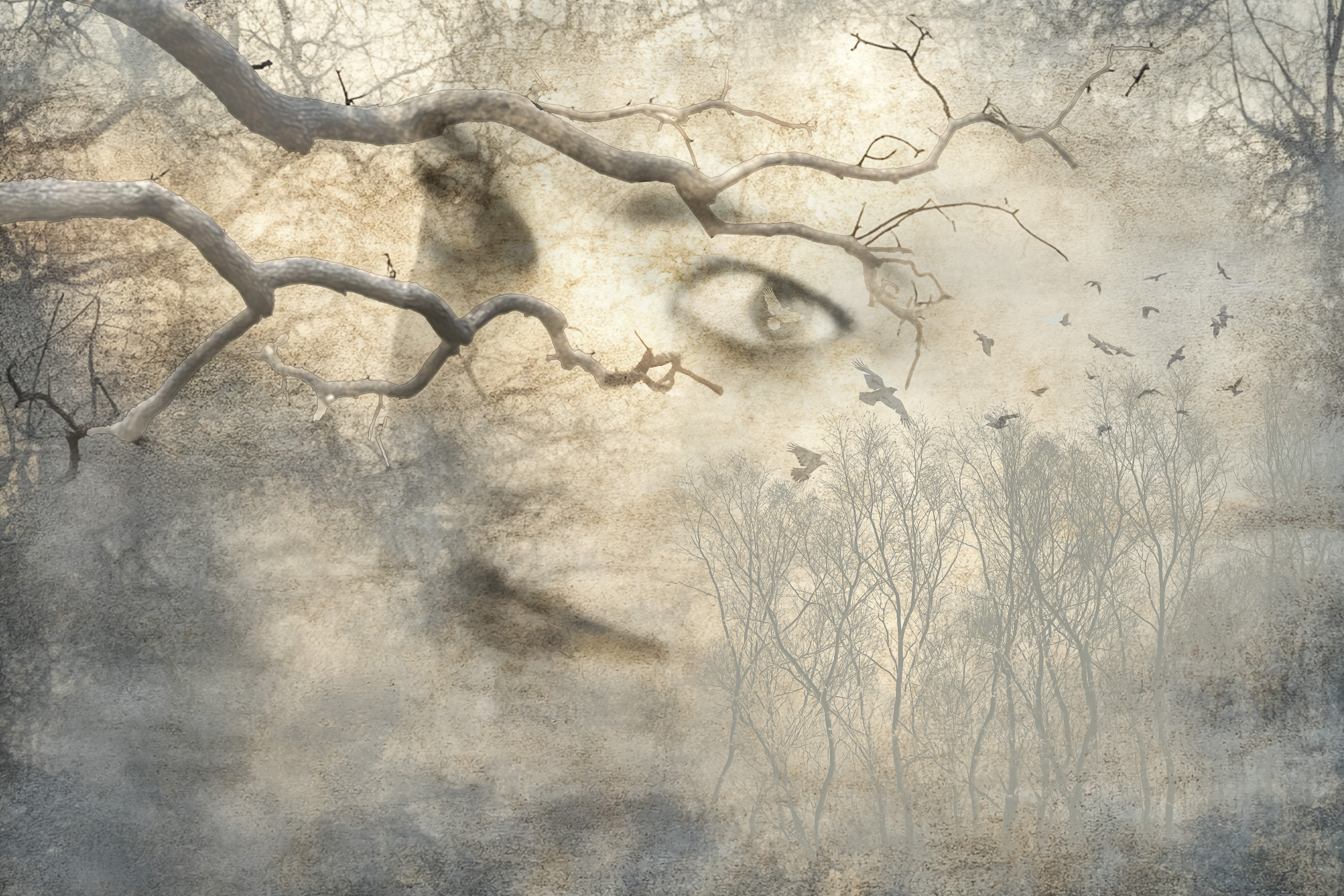 © Shelley Vandegrift