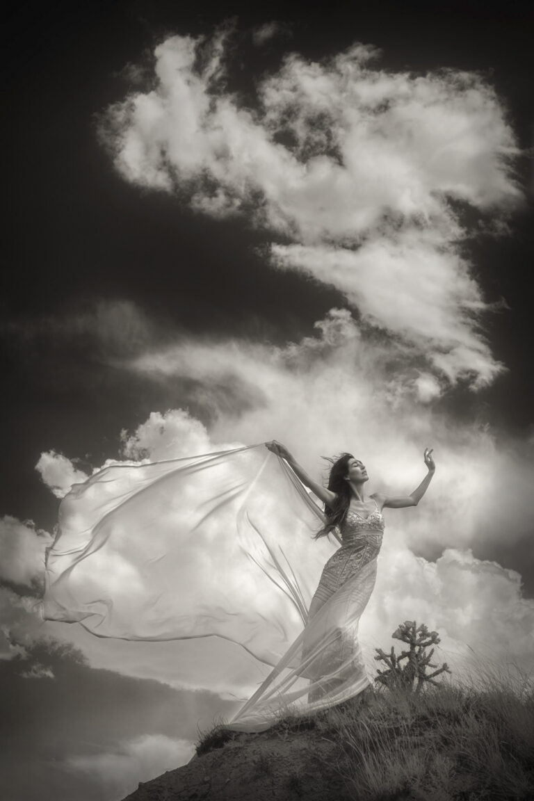 © Shelley Vandegrift