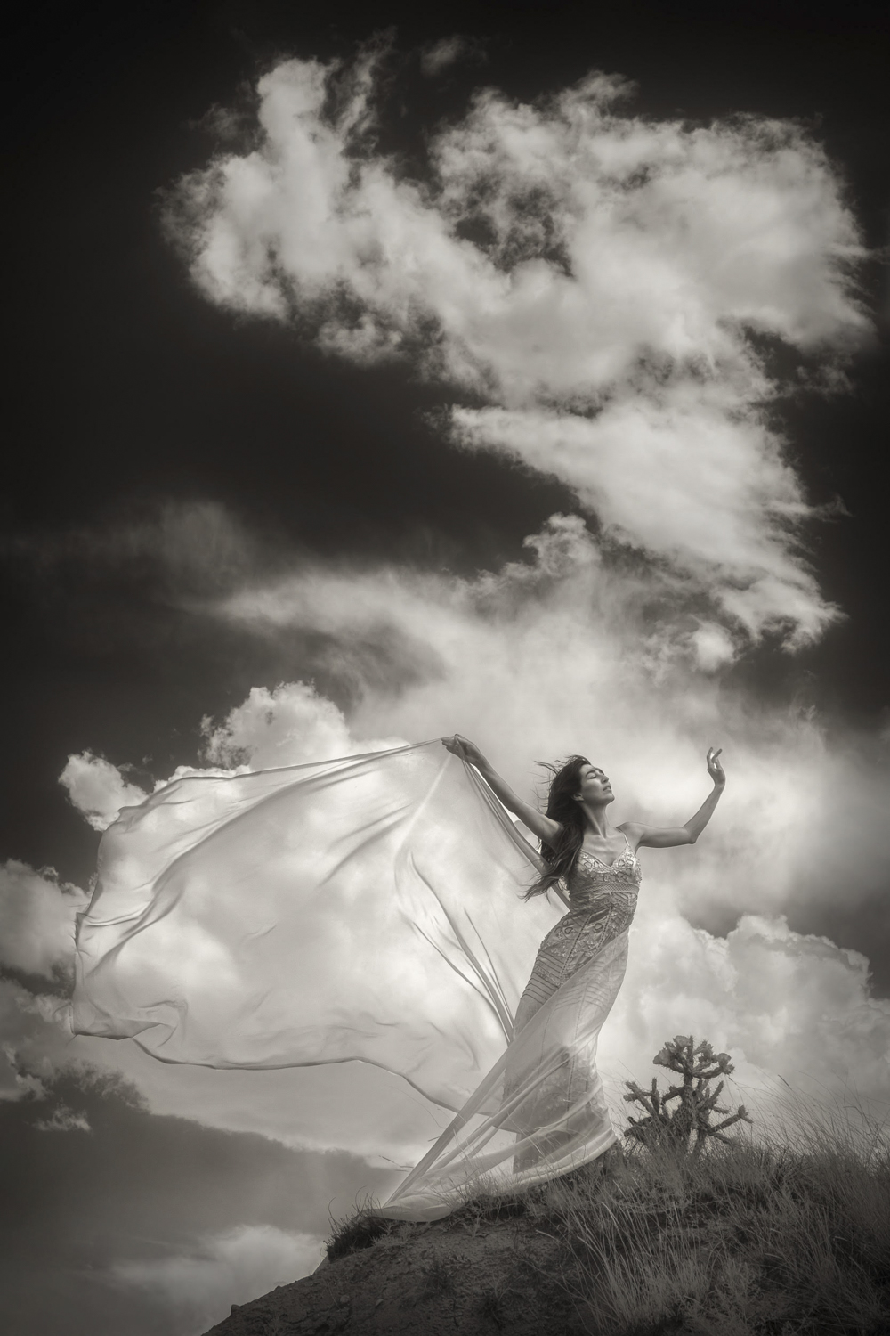 © Shelley Vandegrift