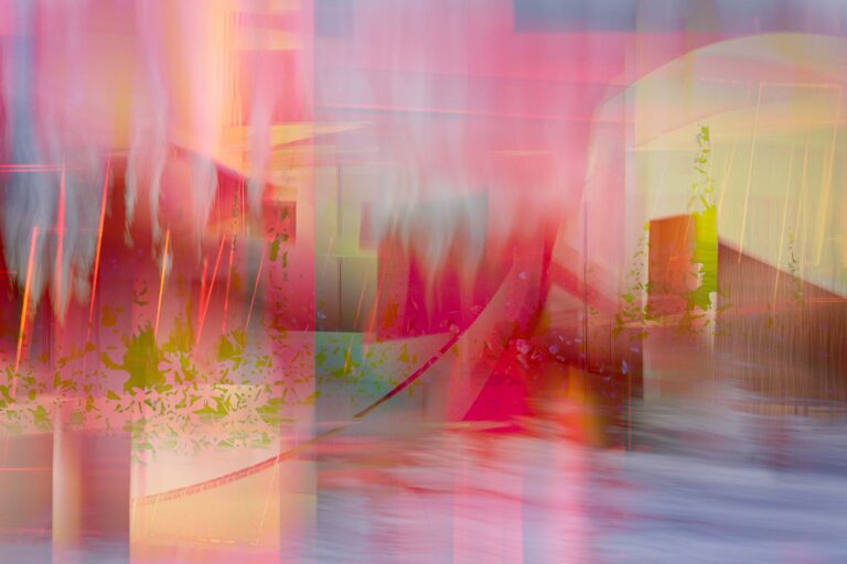 © Stephanie Johnson