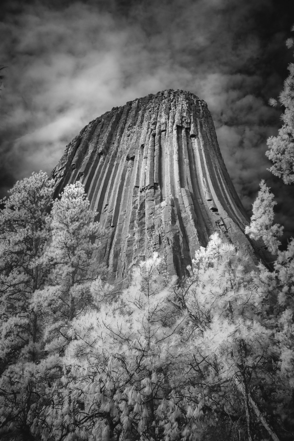 © Shelley Vandegrift