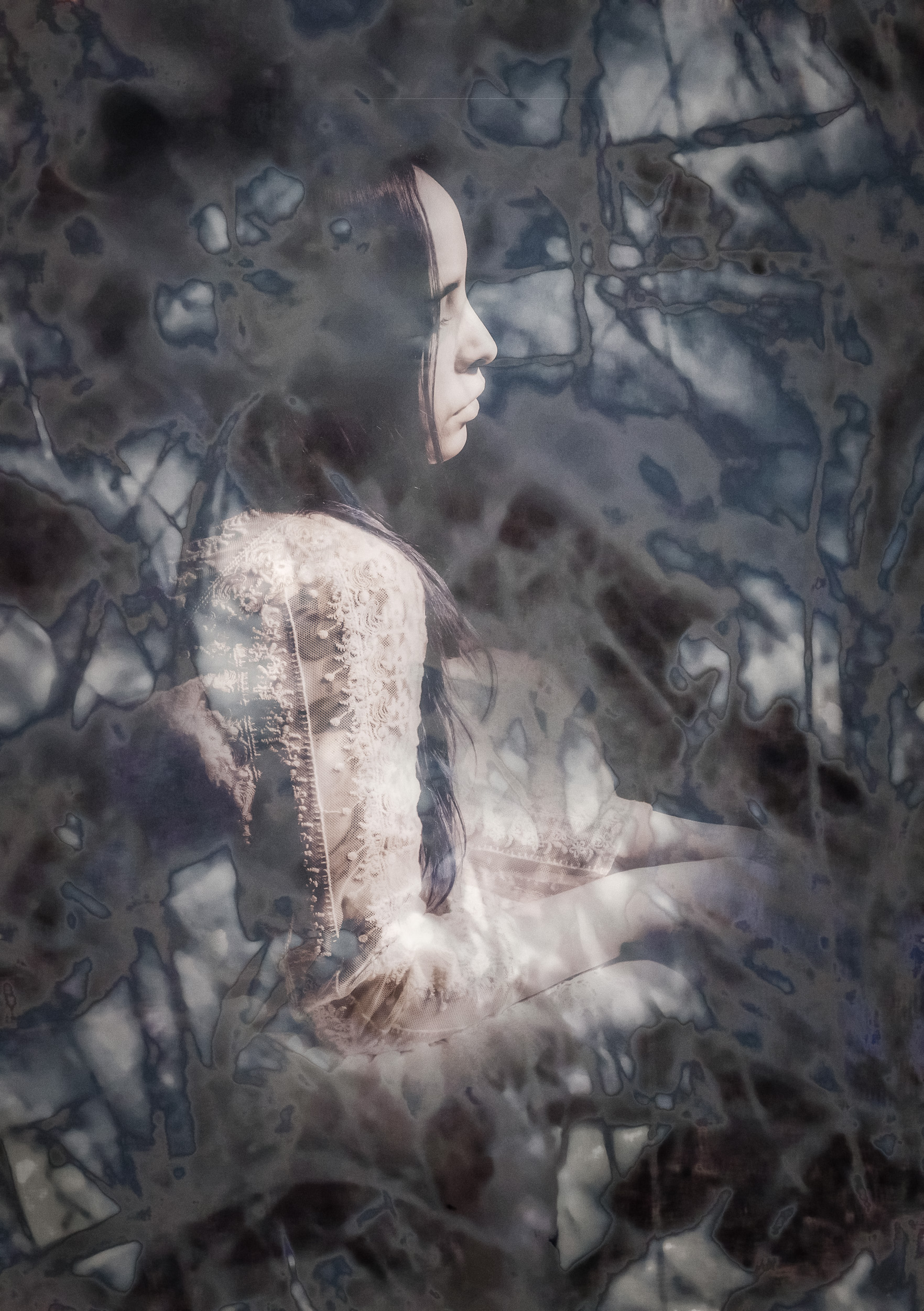 © Shelley Vandegrift