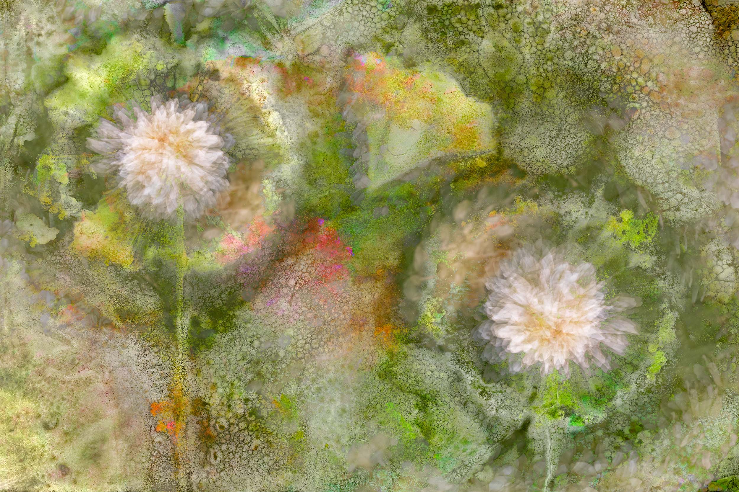 © Stephanie Johnson