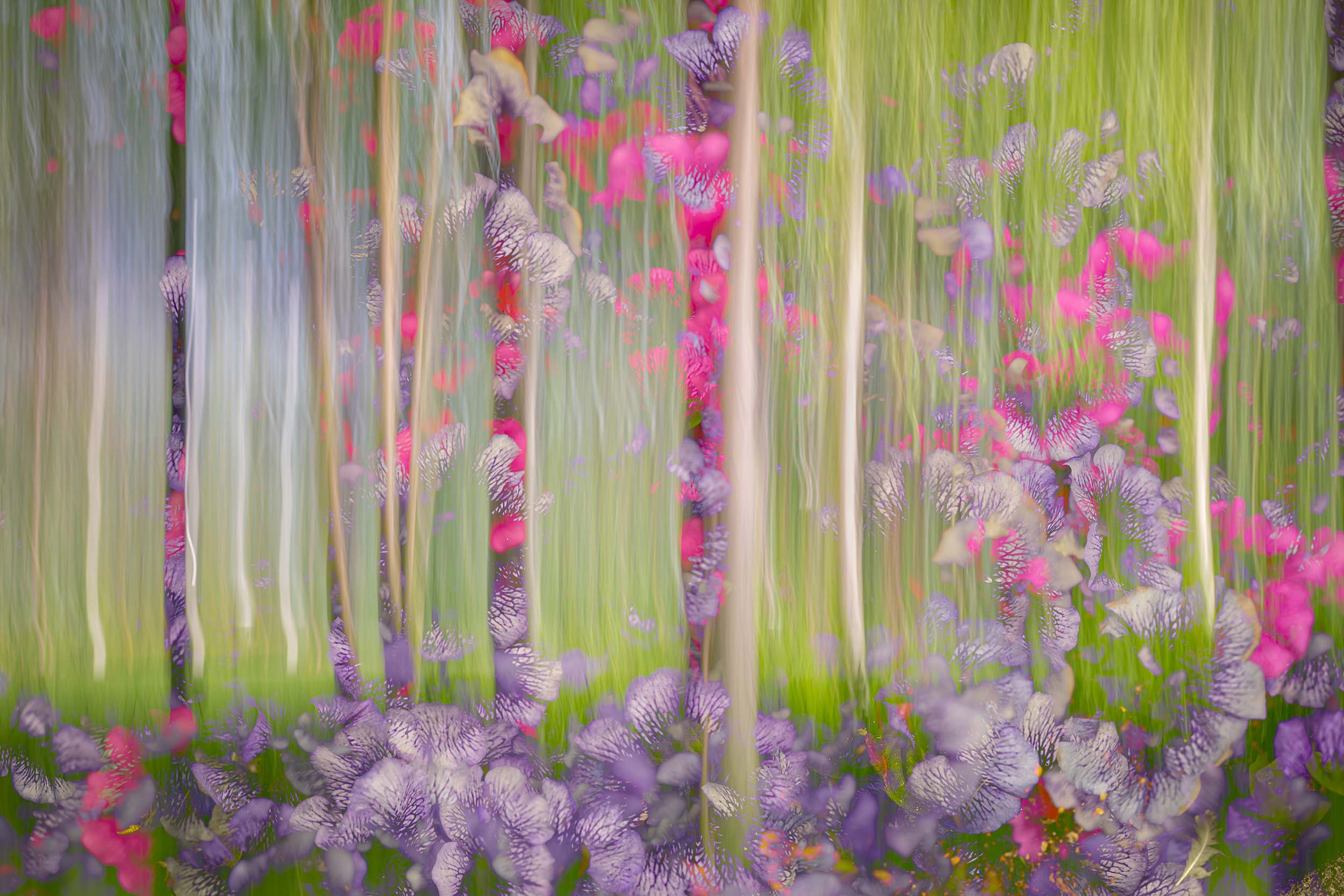 © Stephanie Johnson