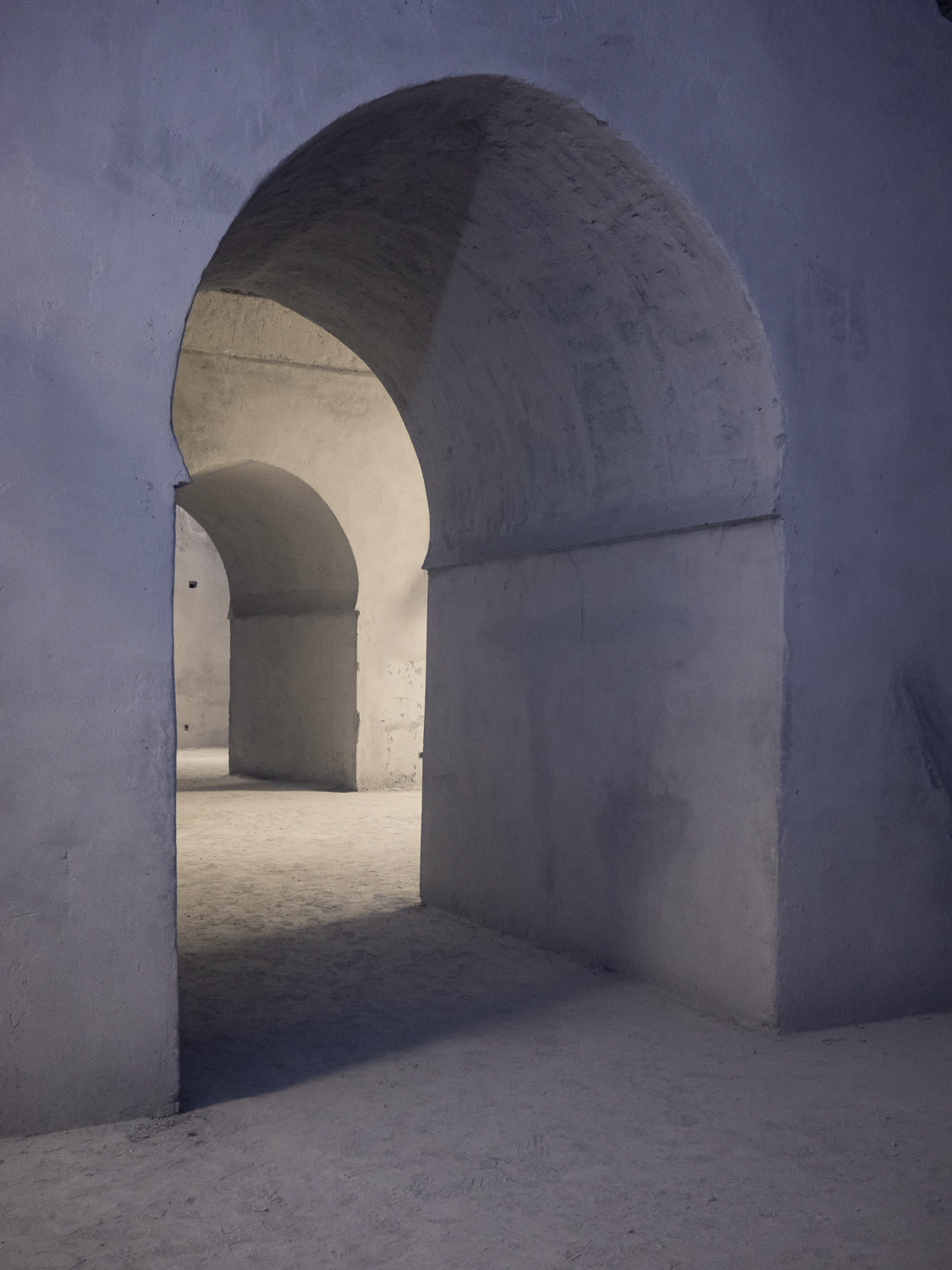 © Shelley Vandegrift