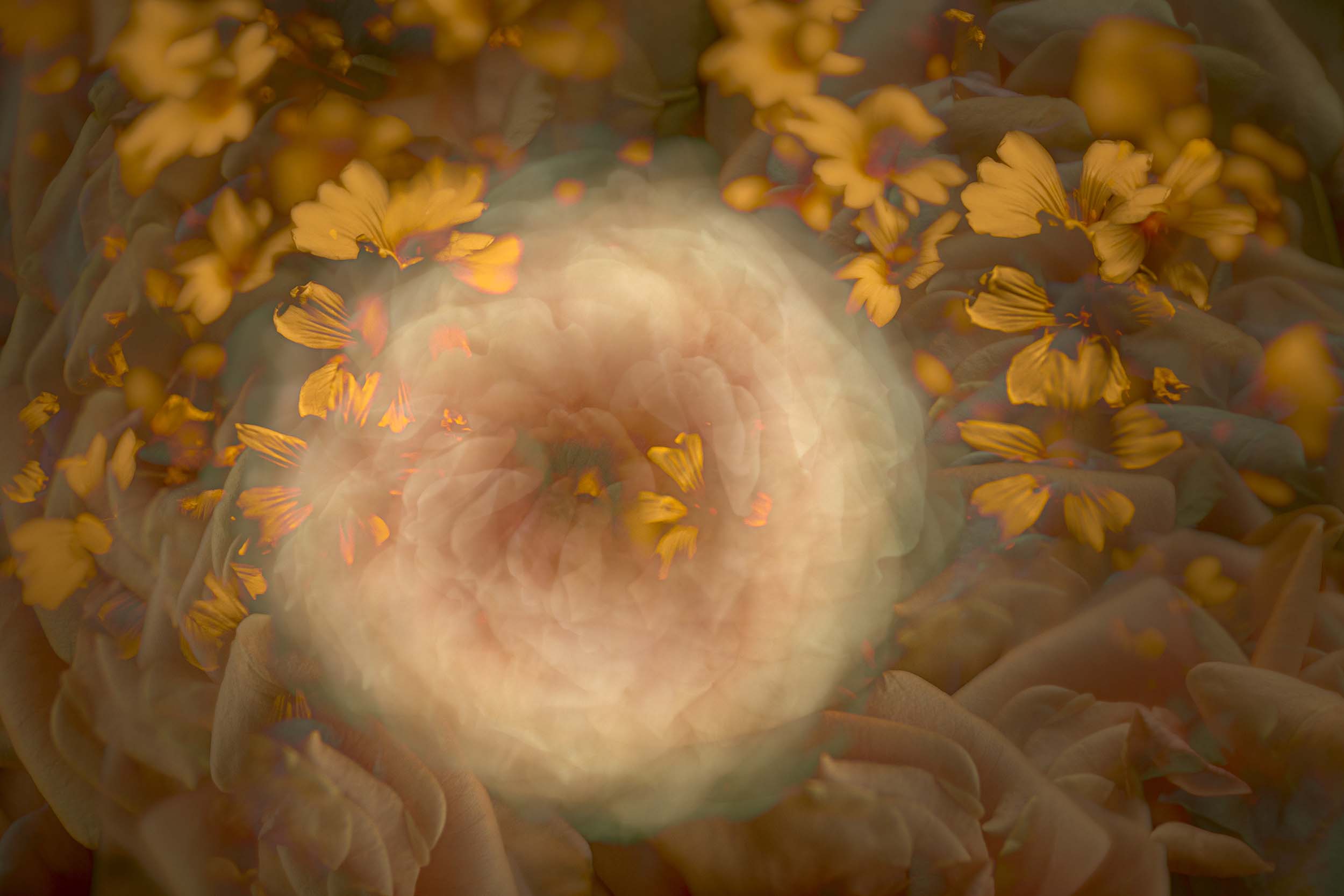 © Stephanie Johnson