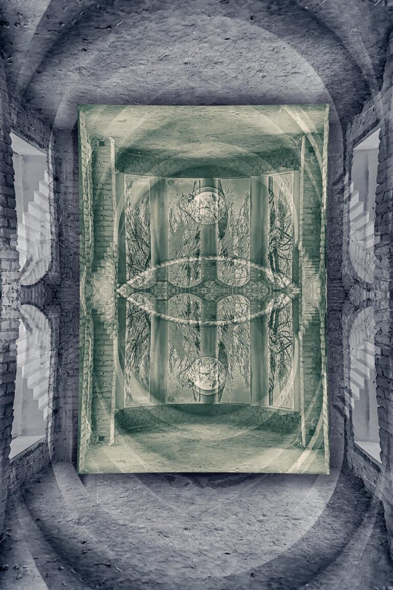 © Shelley Vandegrift