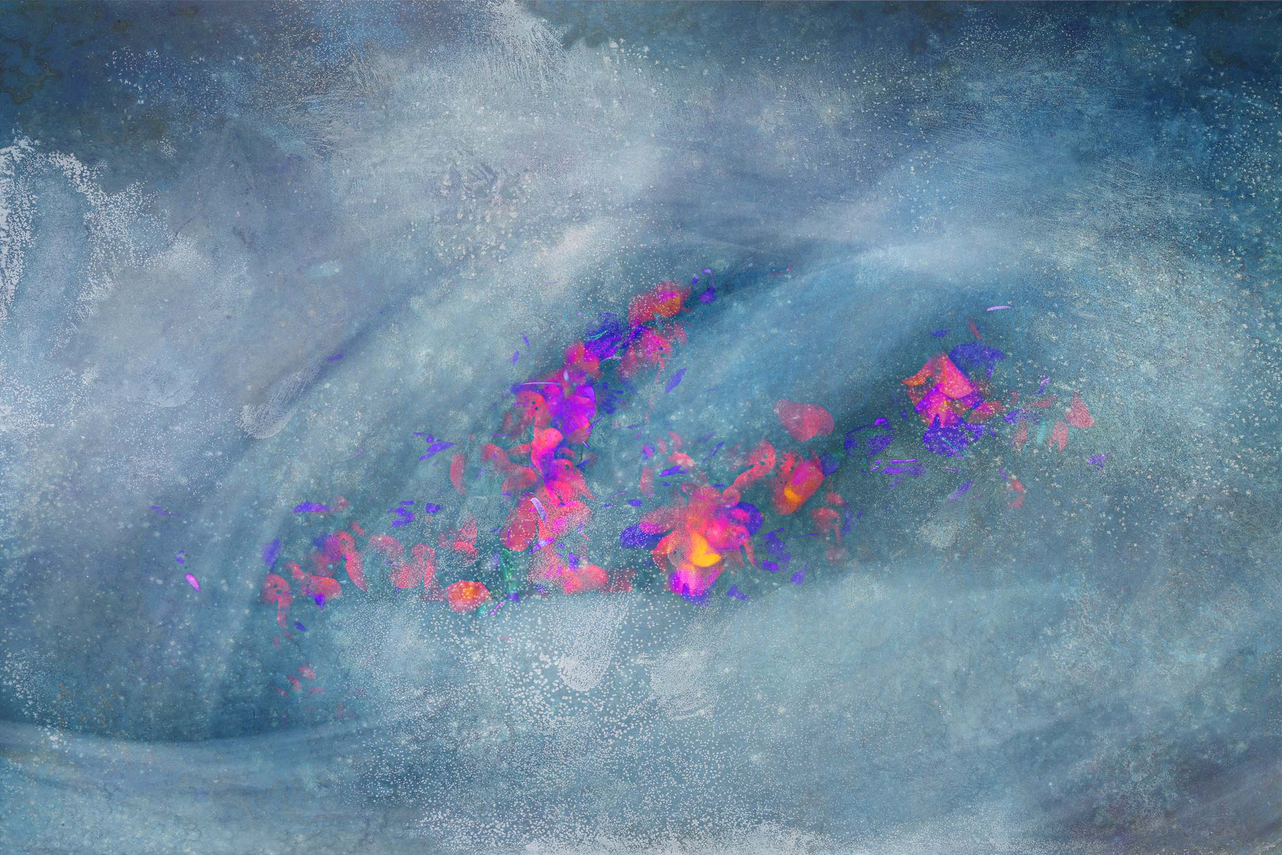 © Stephanie Johnson