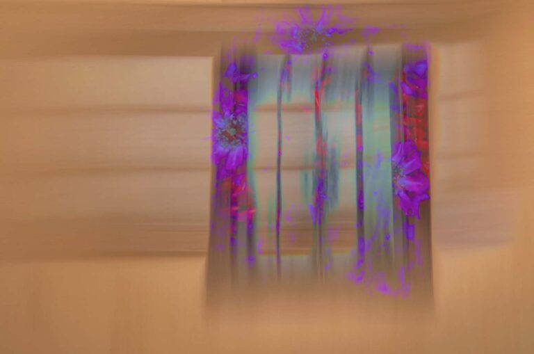 © Stephanie Johnson