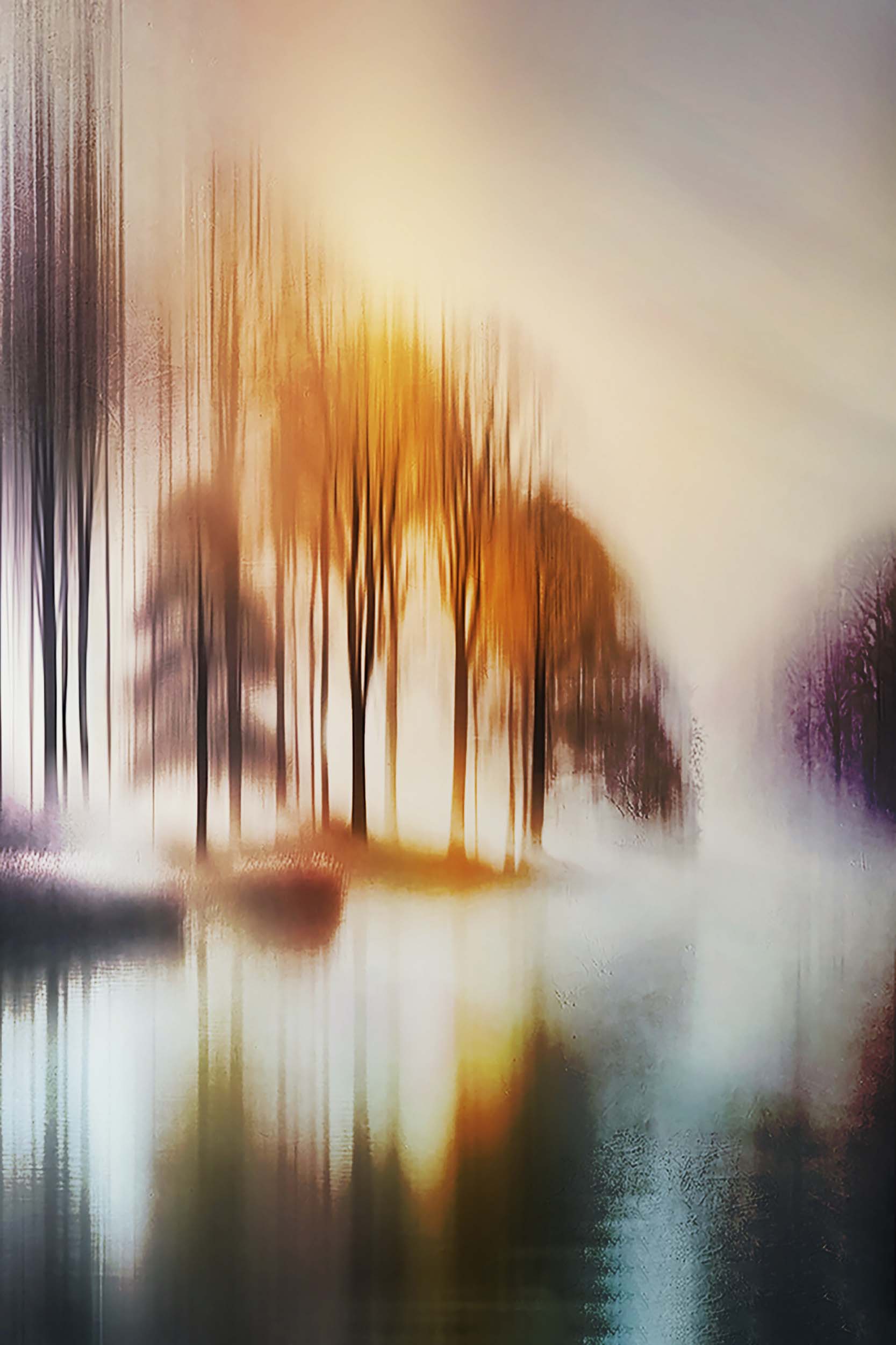 © Roxanne Bouché Overton