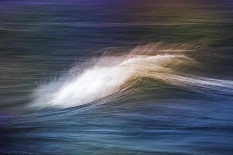 © Roxanne Bouché Overton