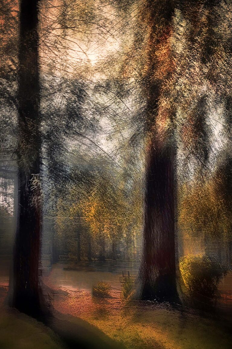 © Roxanne Bouché Overton