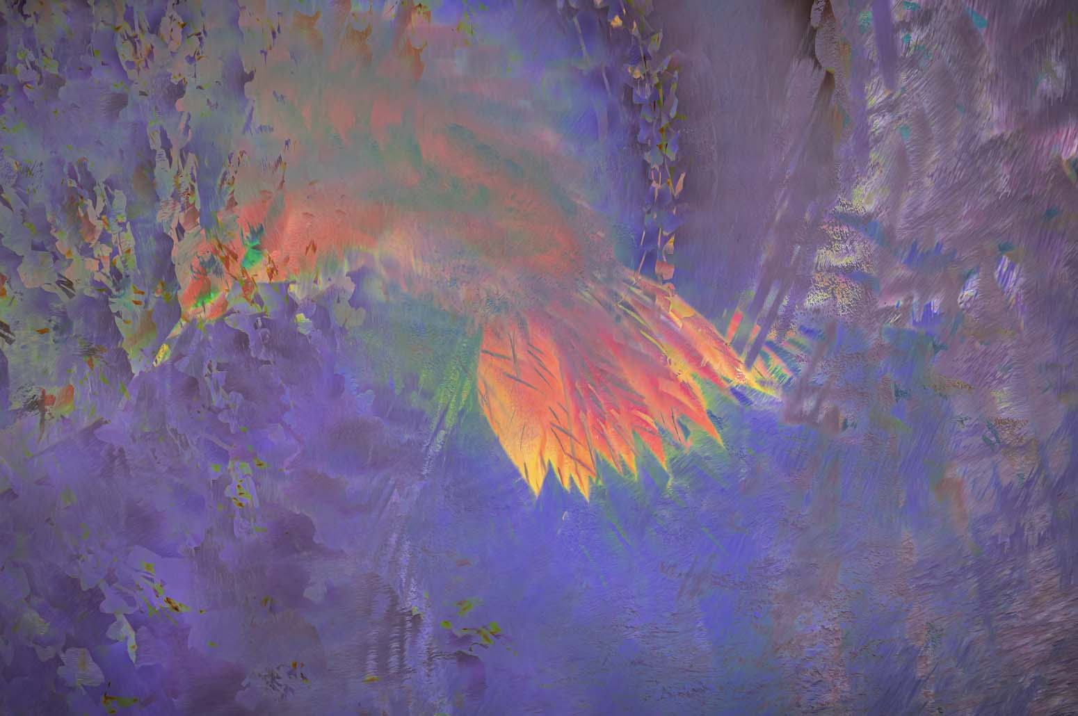 © Stephanie Johnson