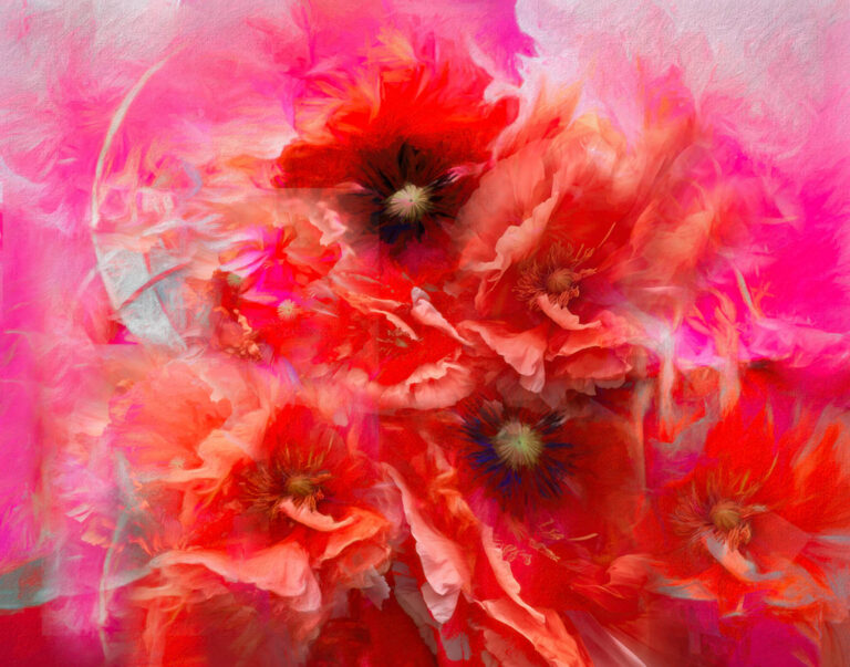 © Leanne Trivett S.