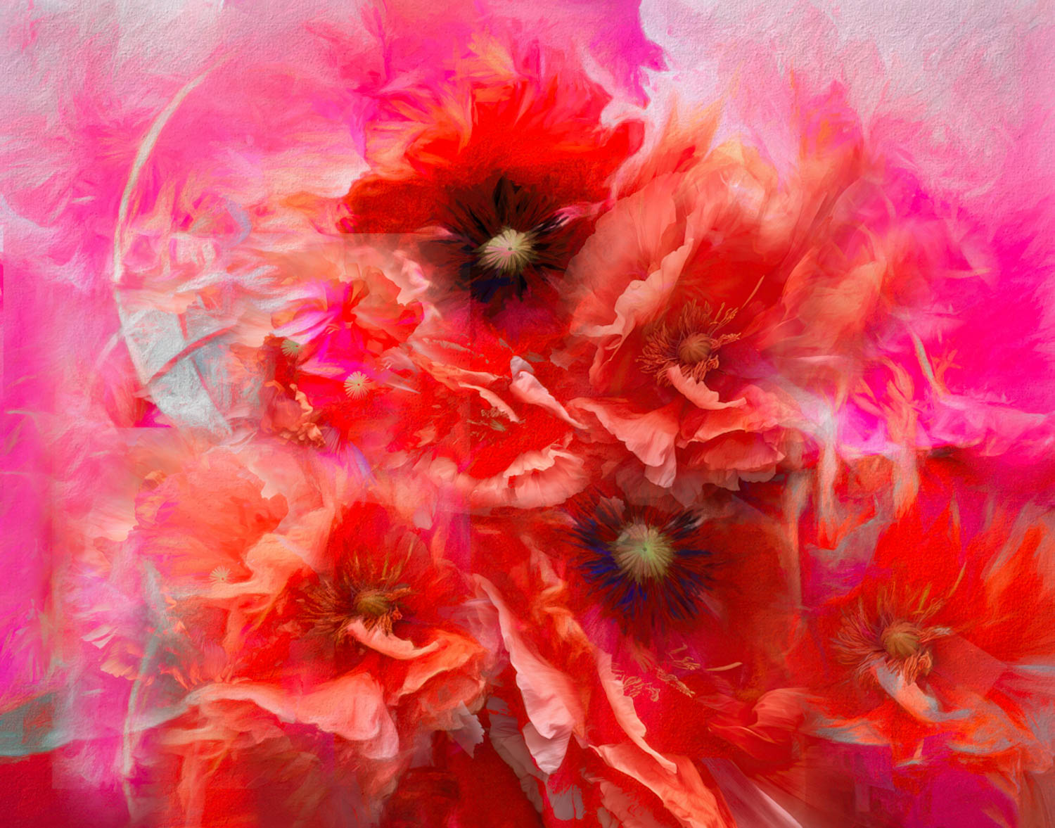 © Leanne Trivett S.