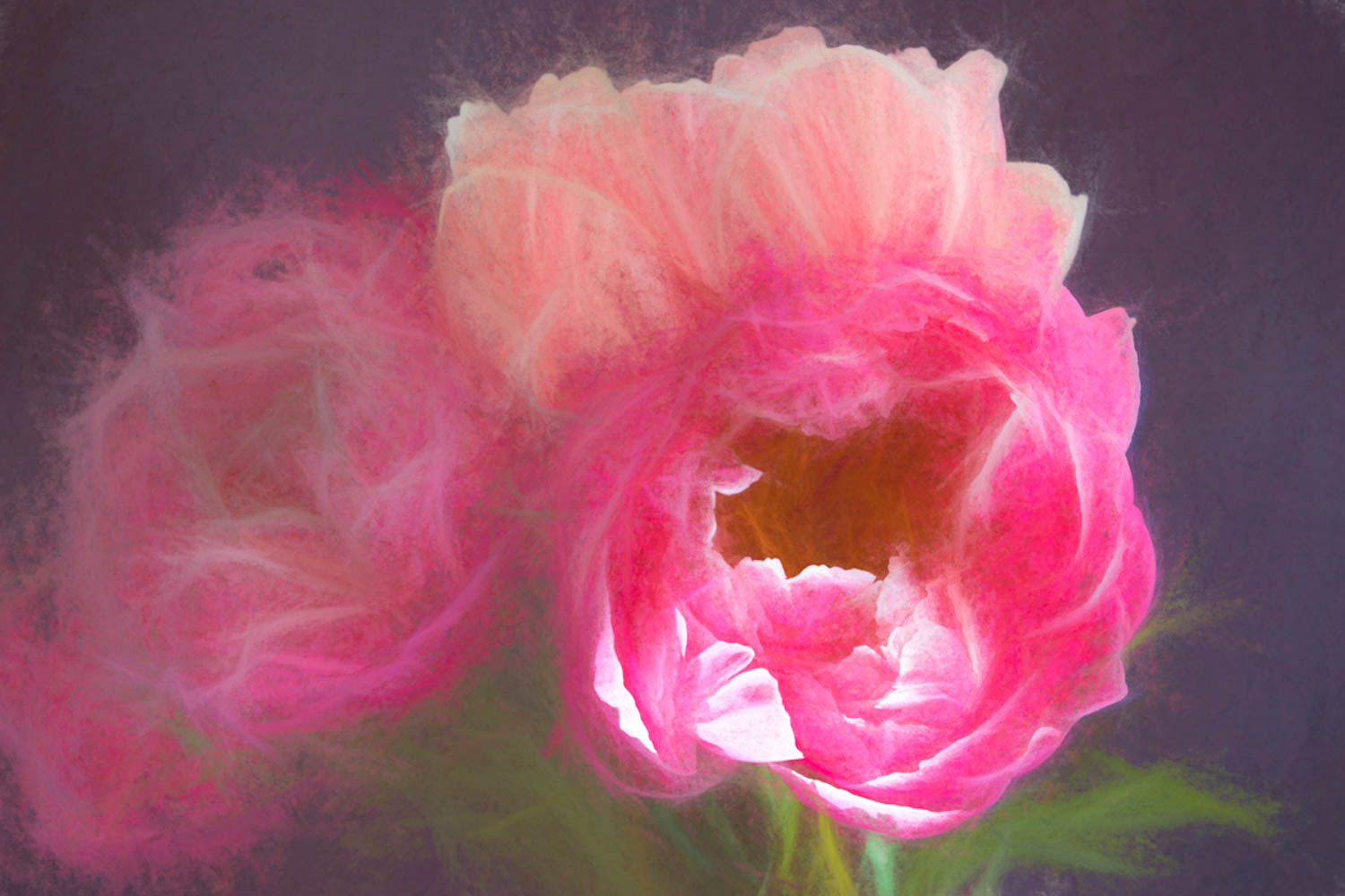 © Leanne Trivett S.