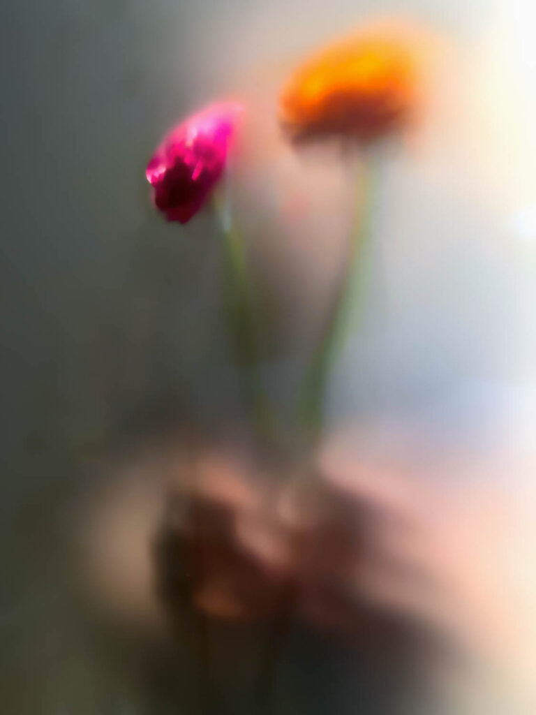 © Leanne Trivett S.