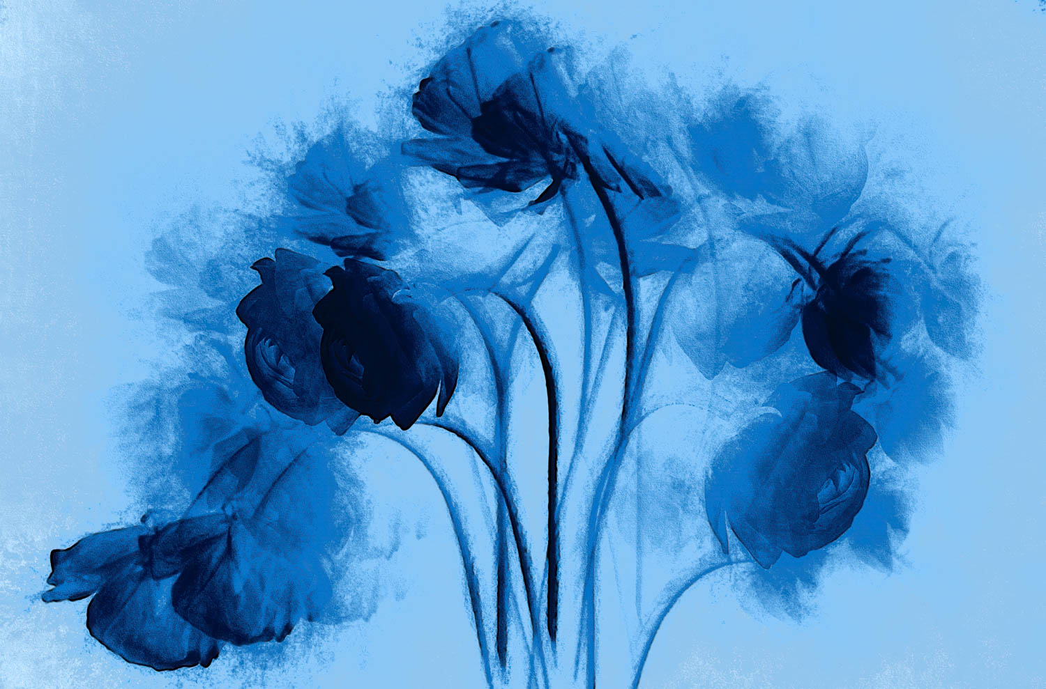 © Leanne Trivett S.