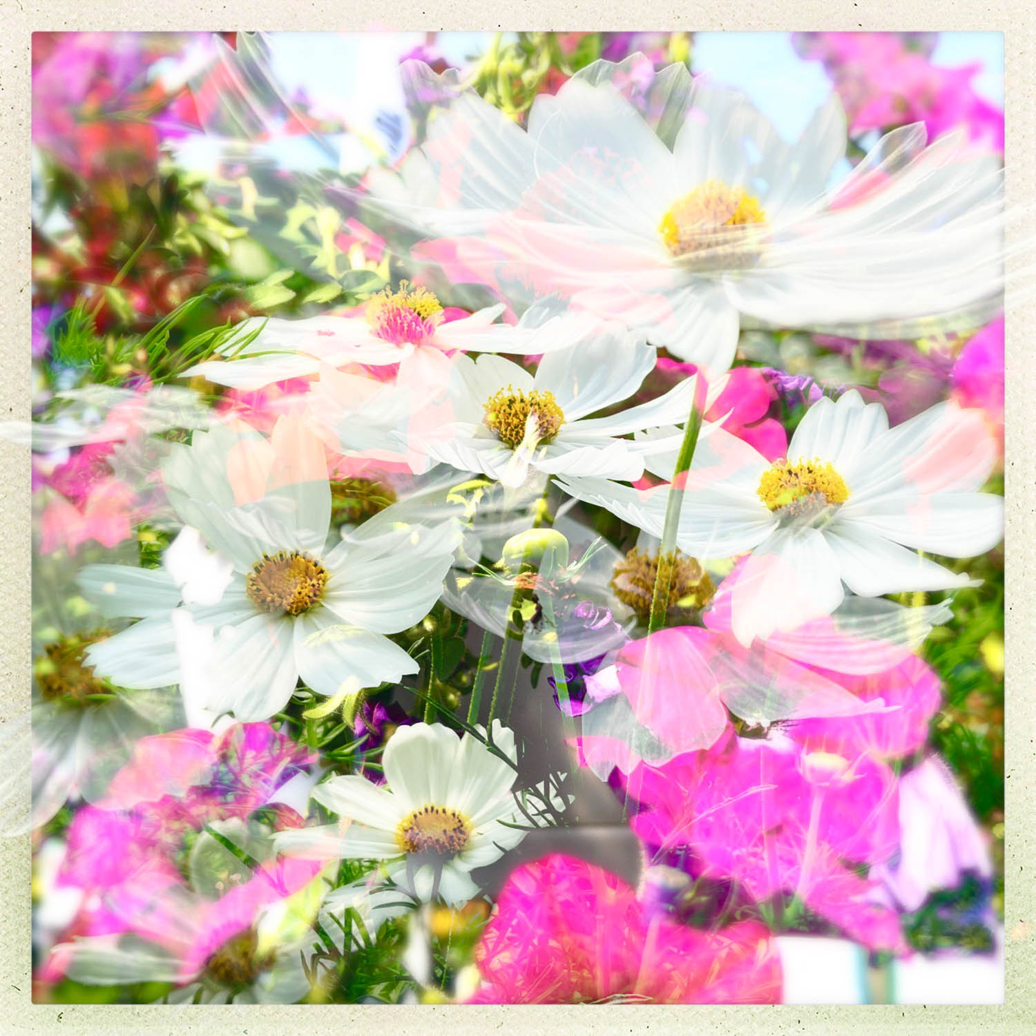 ©  Leanne Trivett S.