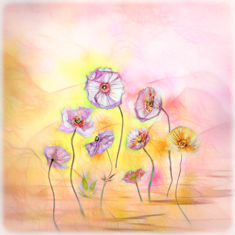 ©  Leanne Trivett S.