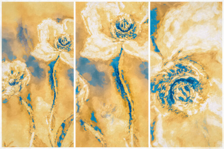 ©  Leanne Trivett S.