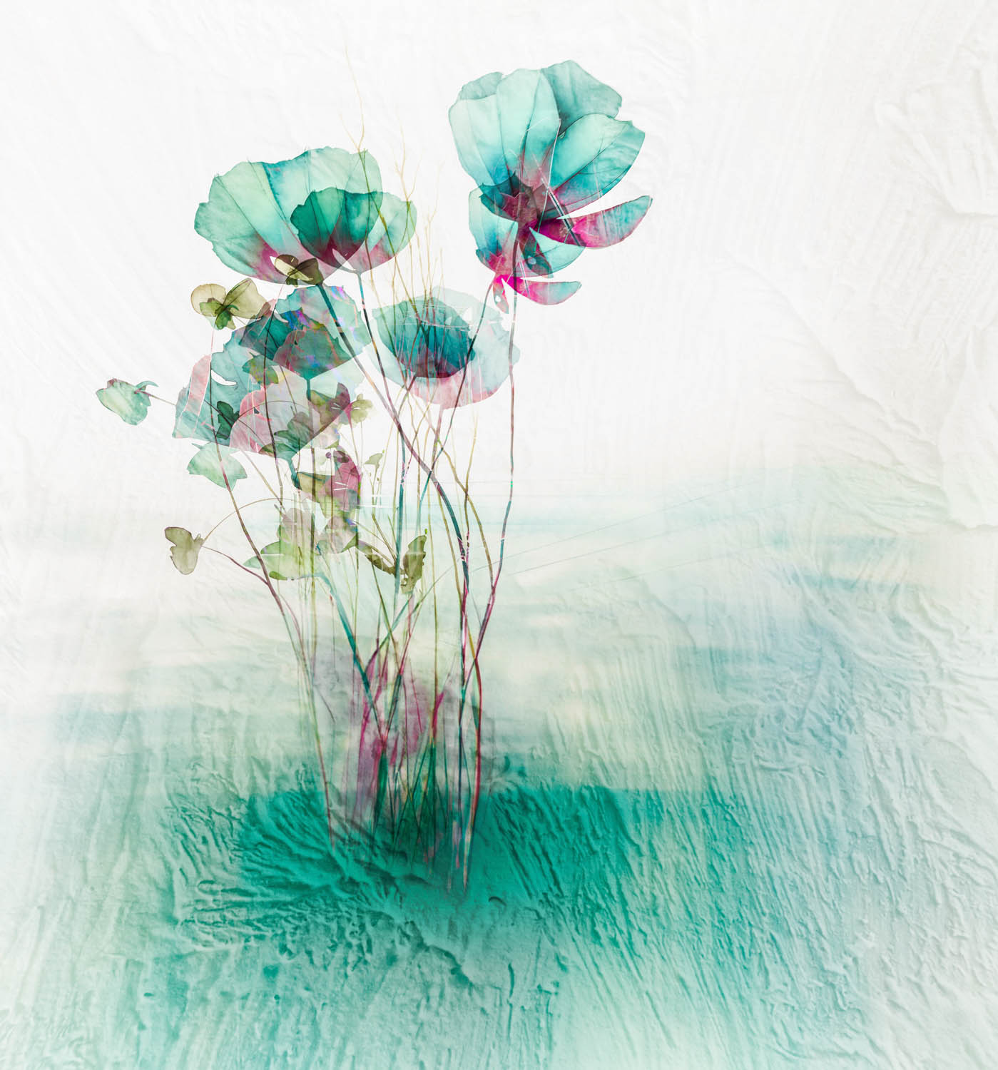 ©  Leanne Trivett S.