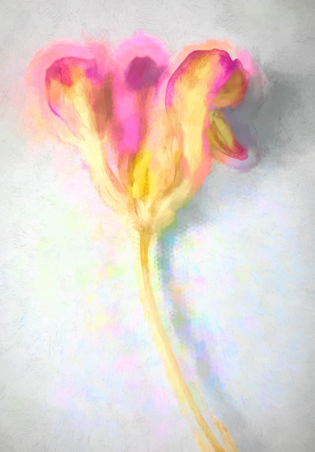 ©  Leanne Trivett S.