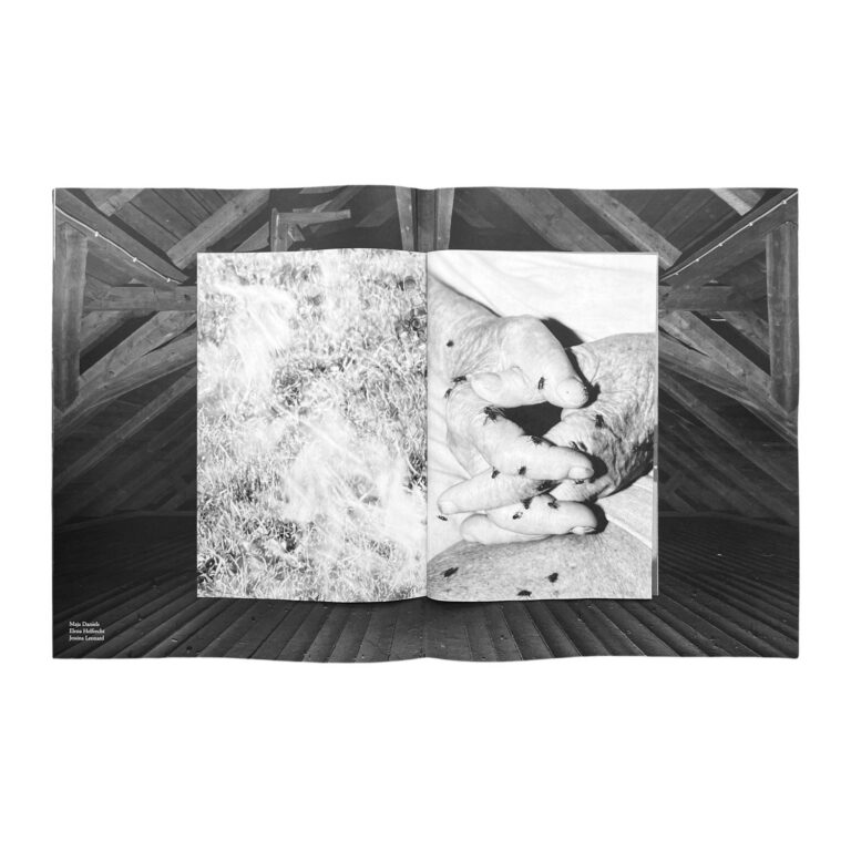 © Jake Benzinger, Elena Helfrecht, and Jessina Leonard