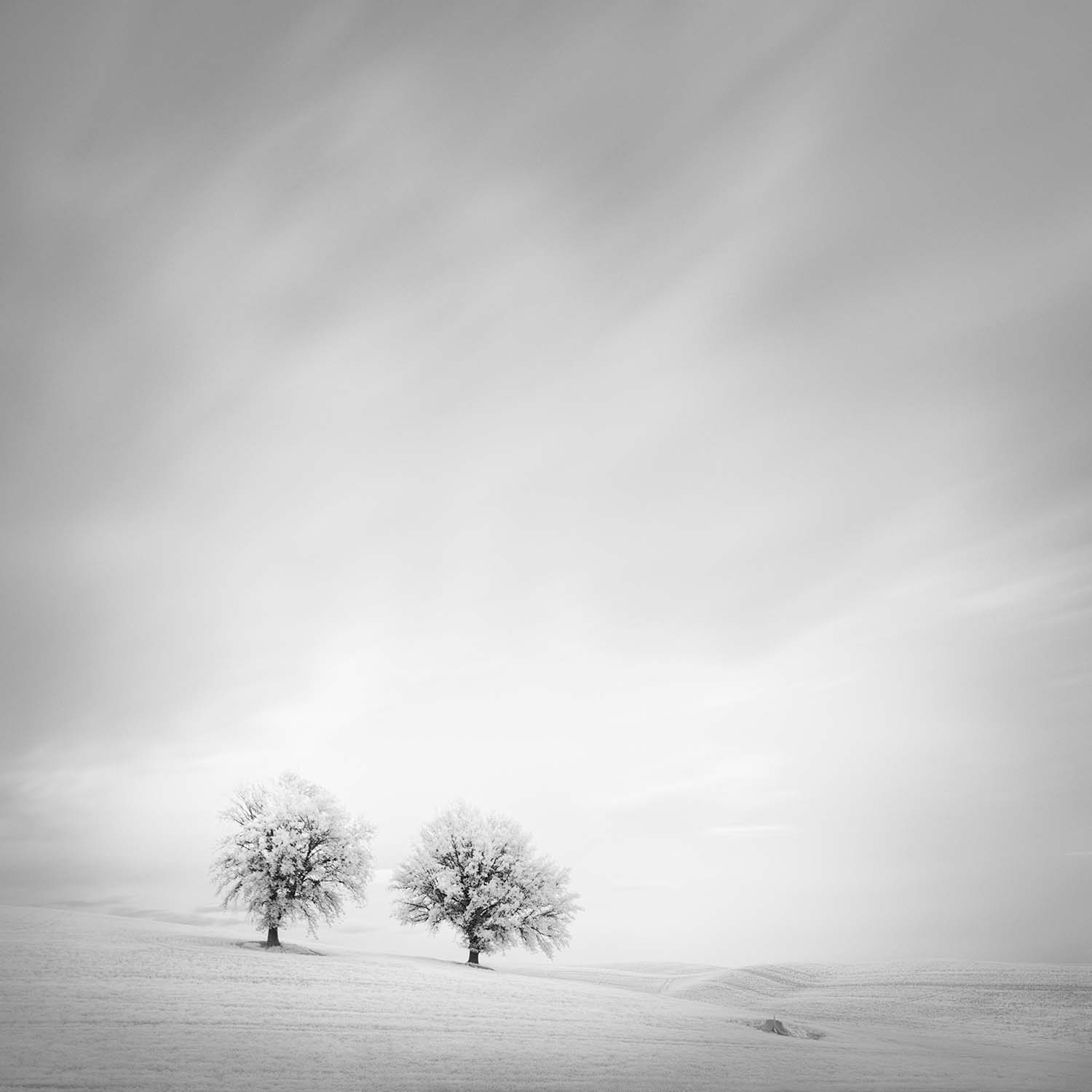 © Thibault Roland