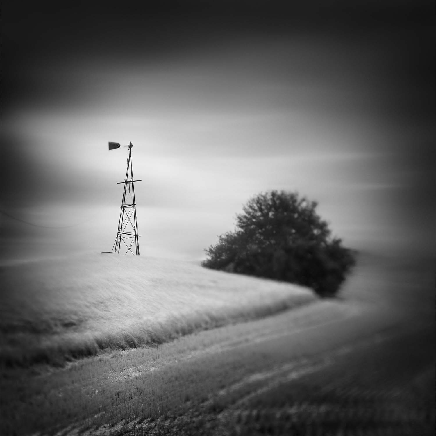 © Thibault Roland