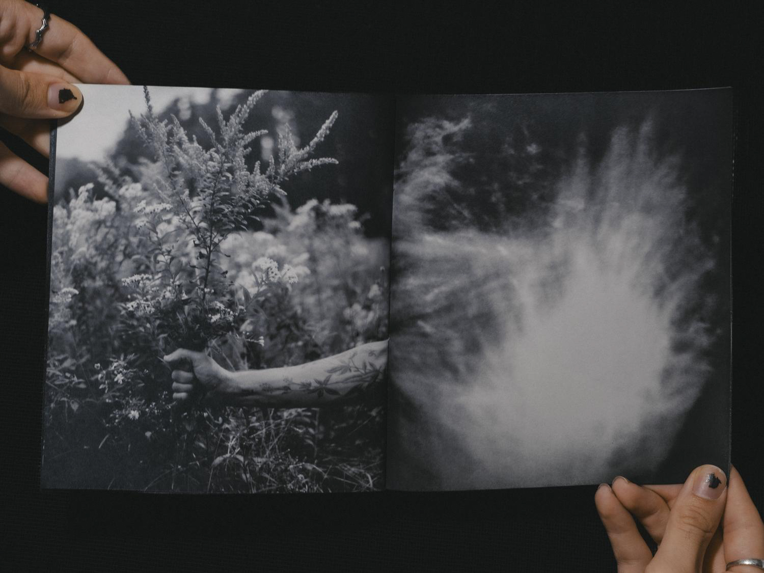 © Jake Benzinger and Jp Gibson