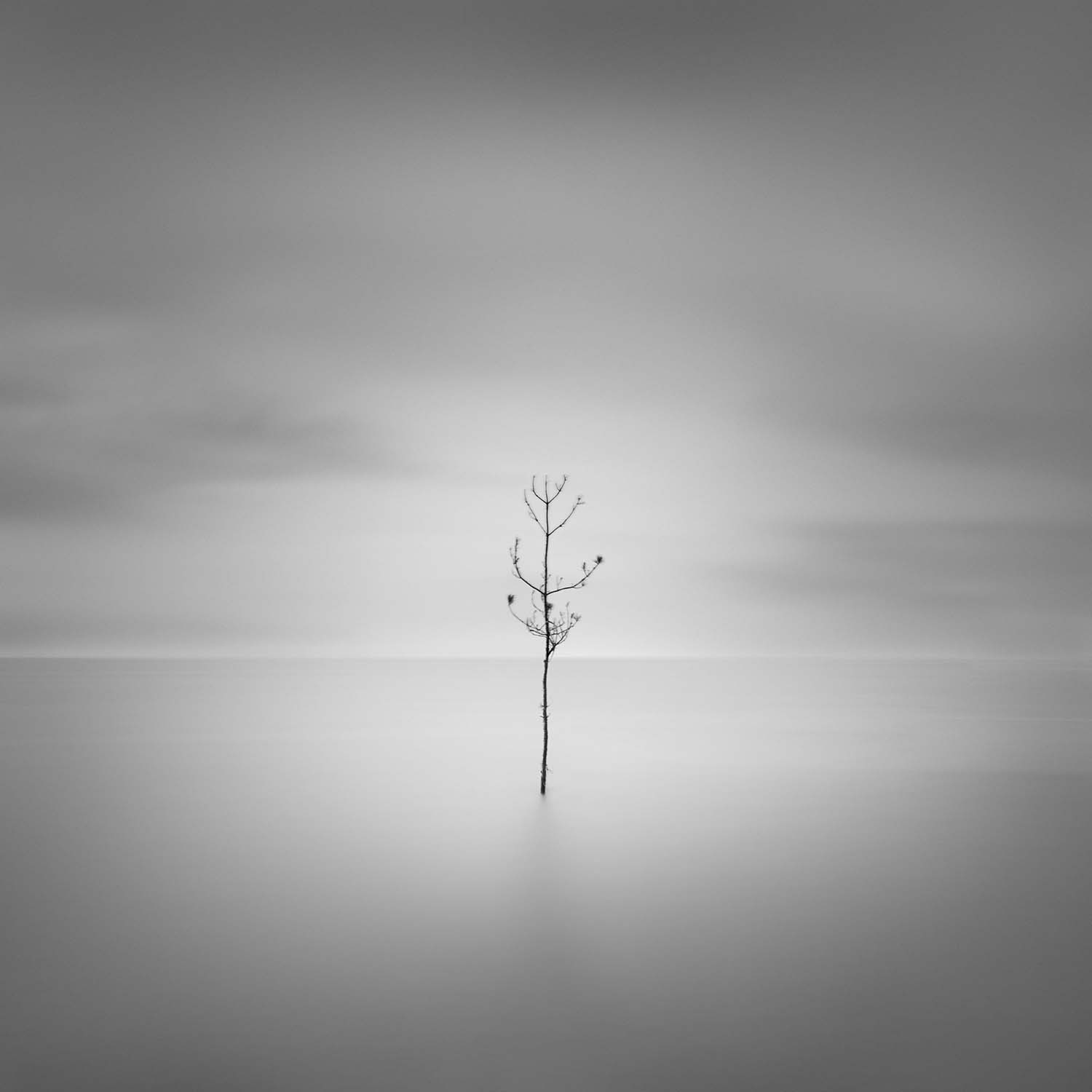 © Thibault Roland