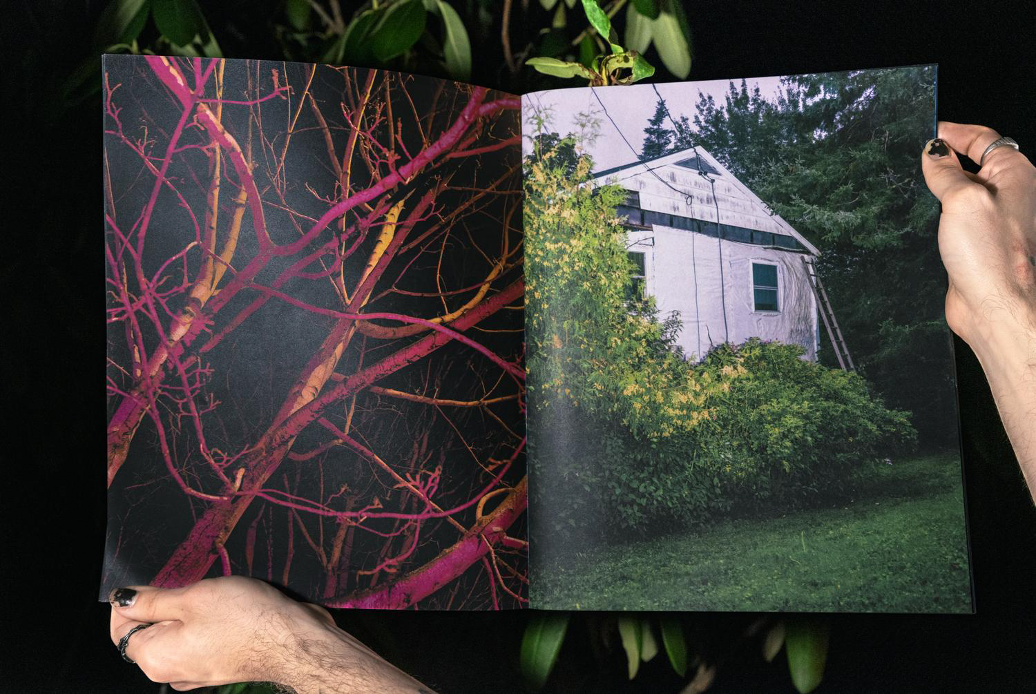 © Jake Benzinger and Sari Soininen