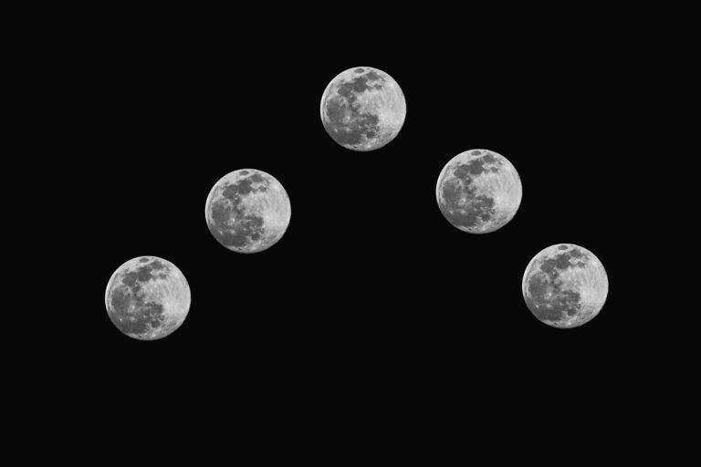 © Lindsay Silverman