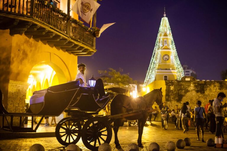 © Jennifer Davidson