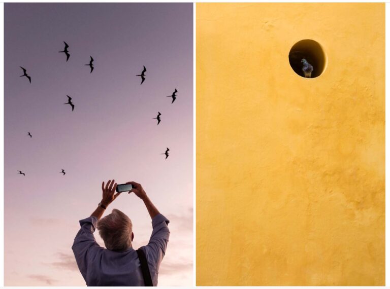 © Jennifer Davidson