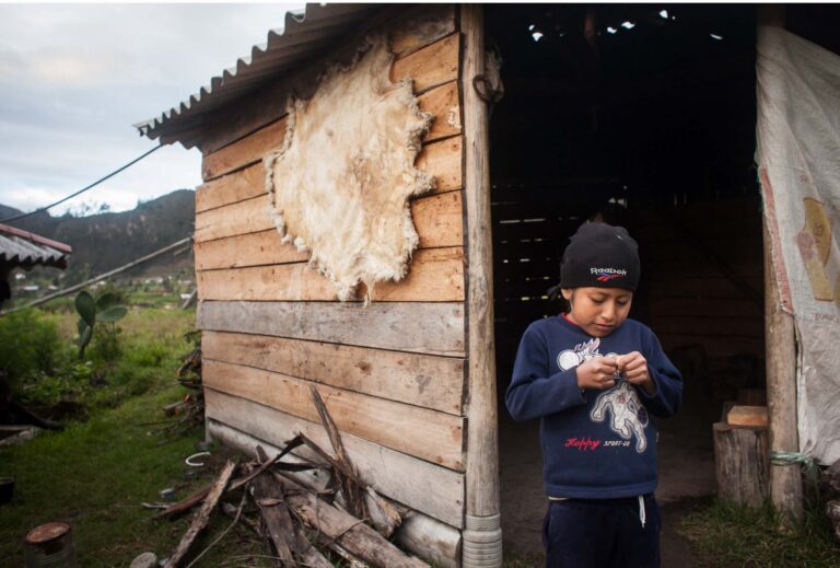 © Jennifer Davidson