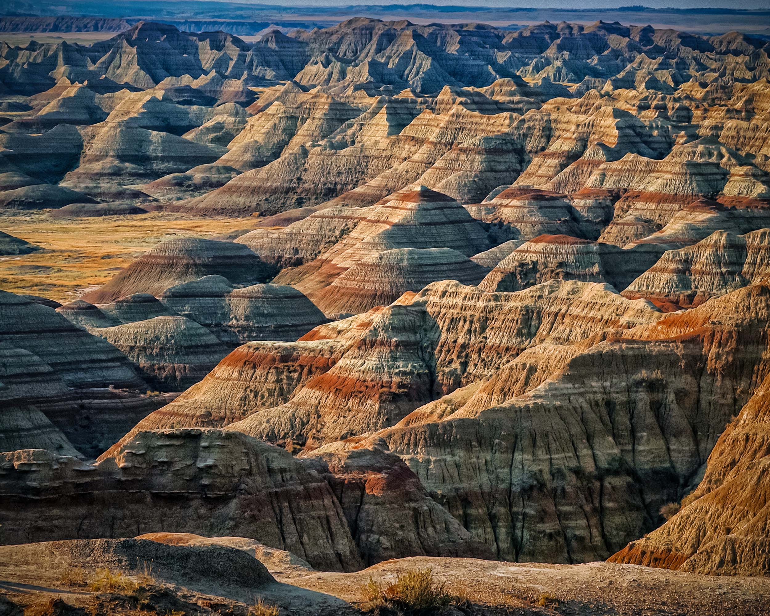 © Shelley Vandegrift