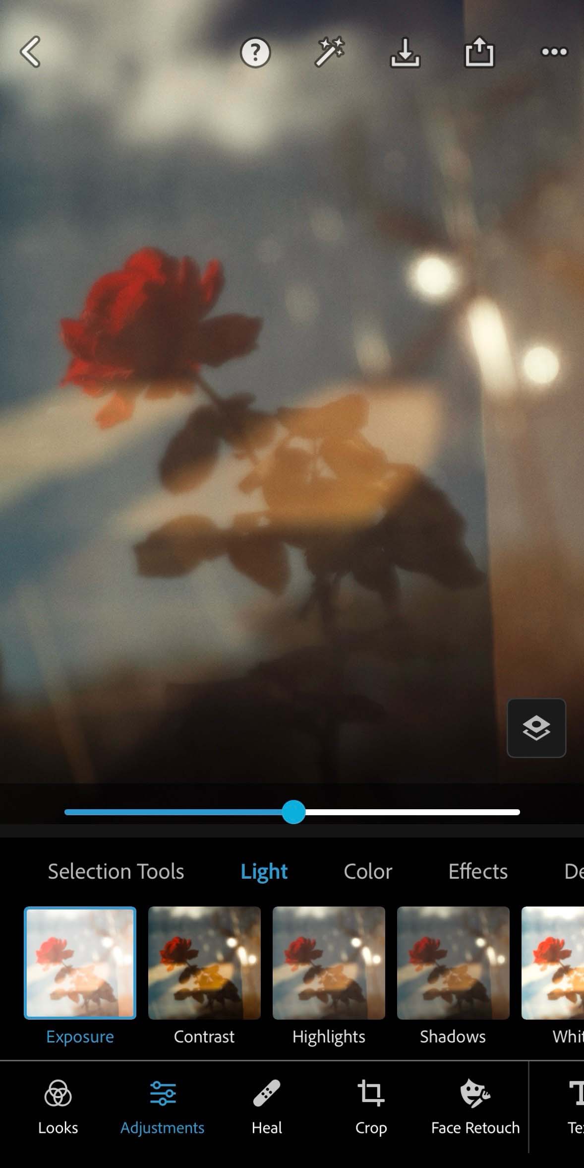 © Christine Alexander