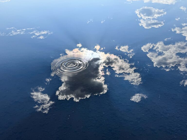 © Christine Alexander