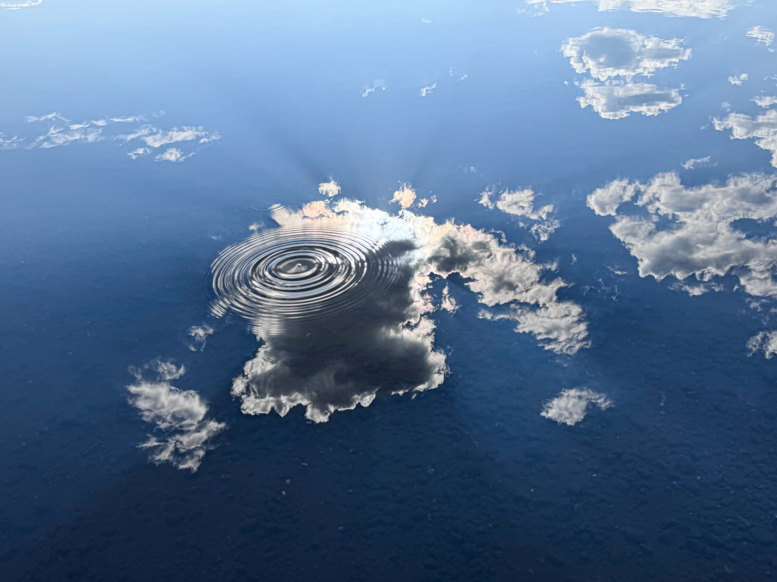 © Christine Alexander