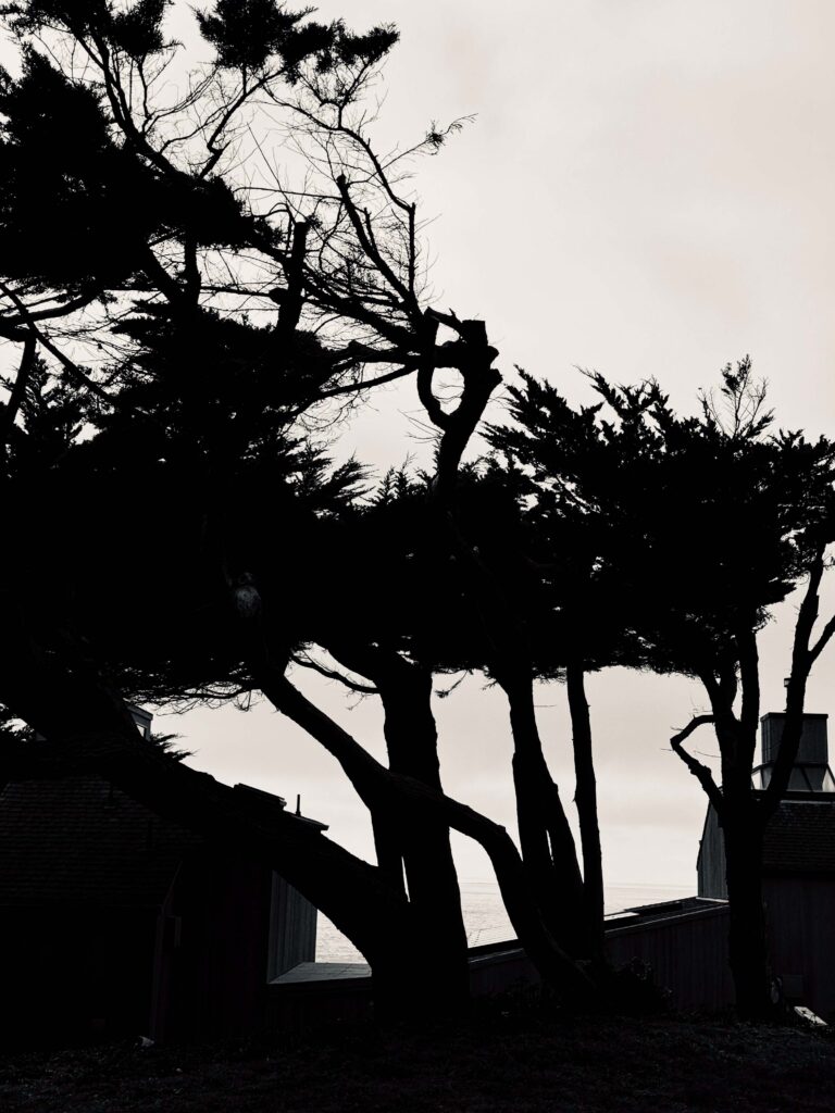 © Christine Alexander