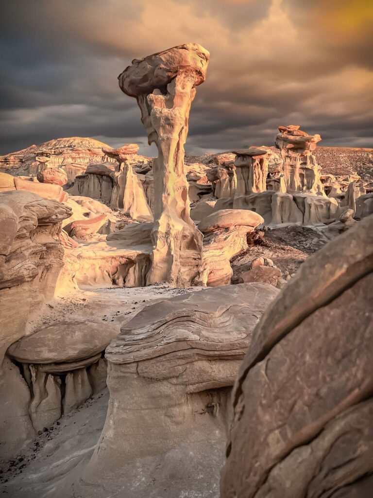 © Shelley Vandegrift