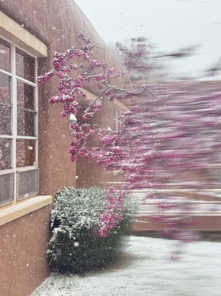 © Christine Alexander