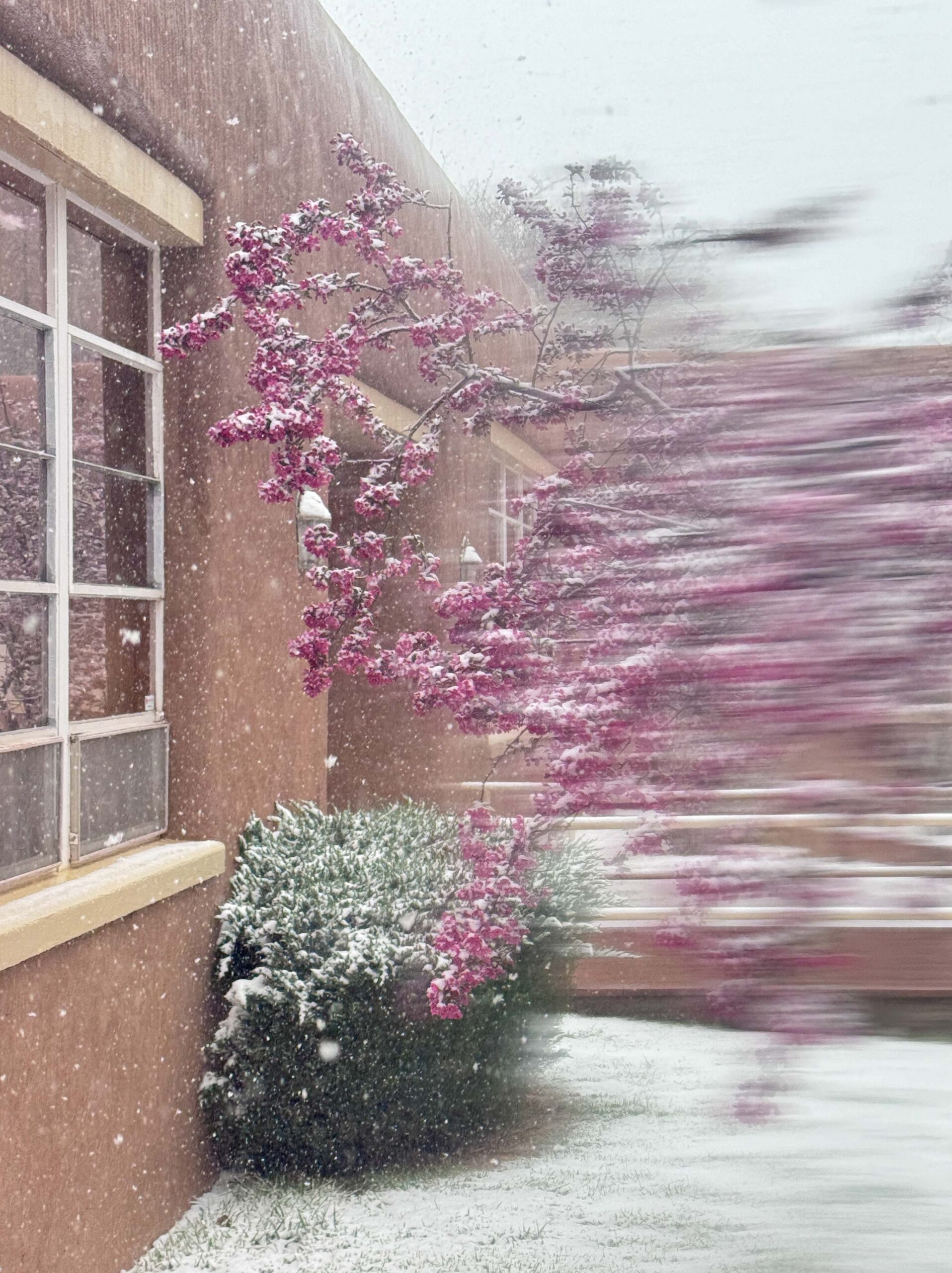 © Christine Alexander