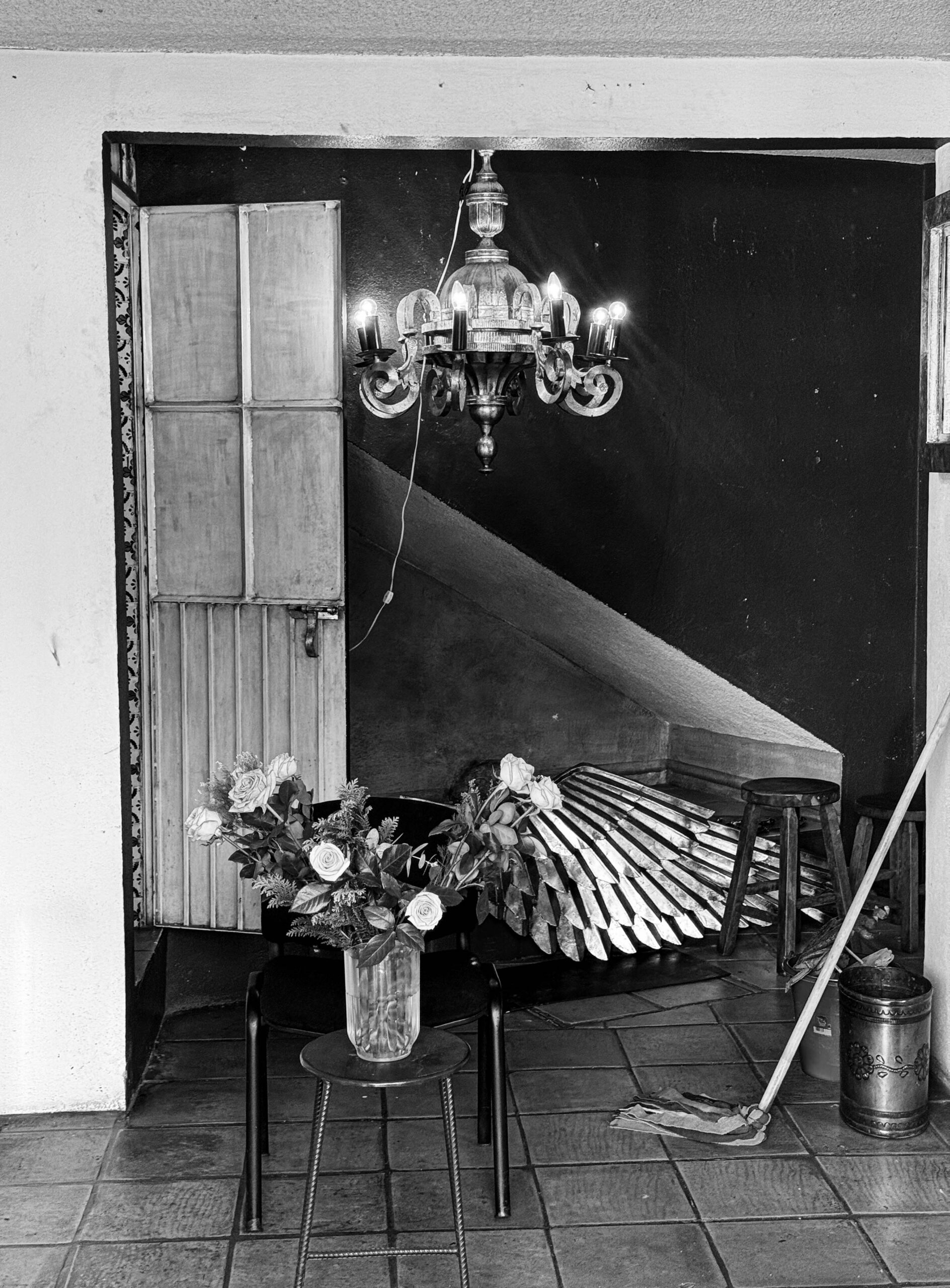 © Christine Alexander